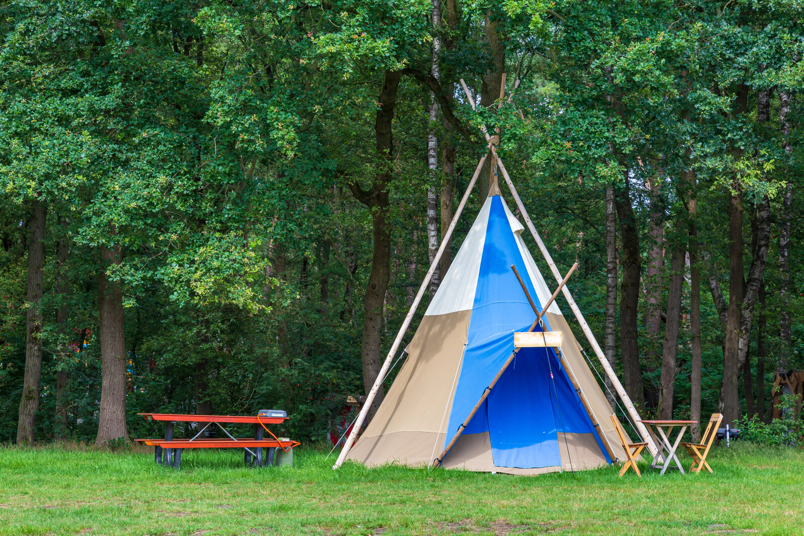 Tienda tipi del campamento junto al bosque